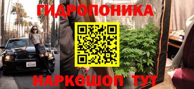 jwh Донецк