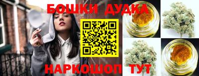 бошки Дубна