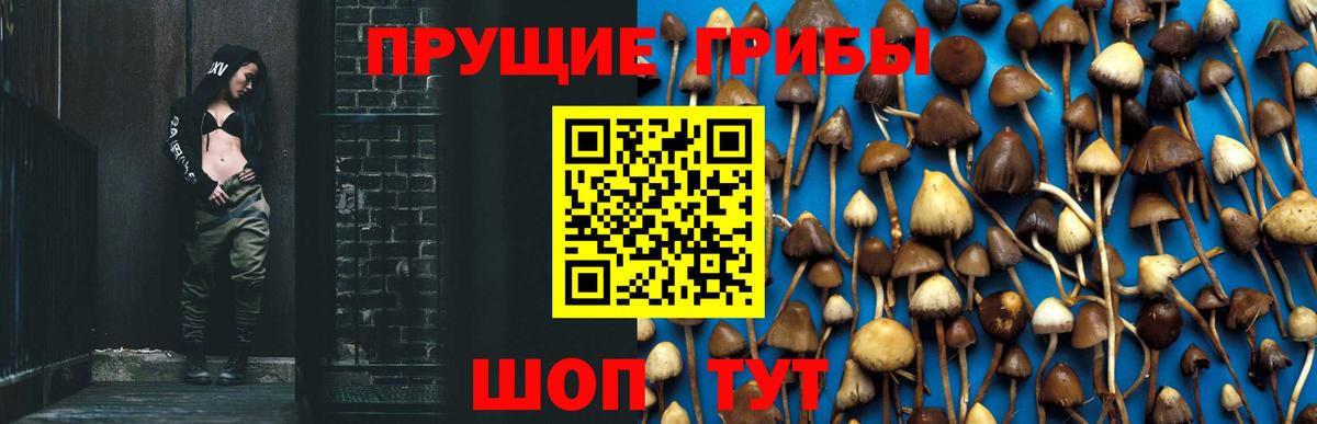Нововоронеж  Псилоцибиновые грибы GOLDEN TEACHER  Вход с VPN 